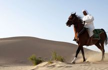 Doha Arabian Horseback Riding Adventure in Desert with Transfers