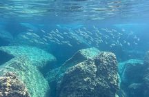 Palermo full day Boat tour with snorkeling and lunch included