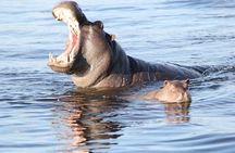 1 Night 2 Days Mokoro Overnight Tour Okavango Delta