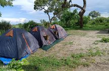 1 Night 2 Days Mokoro Overnight Tour Okavango Delta