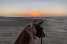 Luxor Horse Adventure Tour in West Bank