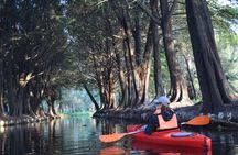 Xochimilco in Kayak