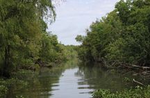 Covered Boat Swamp Tour