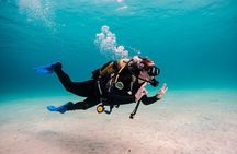Try Scuba Diving by Boat in Mallorca