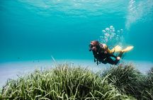 Try Scuba Diving by Boat in Mallorca