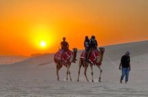 Dubai Morning Desert Safari with Quad Bike sharing Car