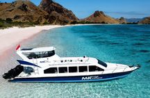 Full Day Komodo Tour With MK Express Speedboat Visit 6 Spot