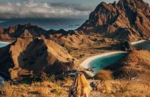 Full Day Komodo Tour With MK Express Speedboat Visit 6 Spot