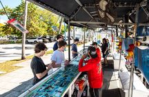 Tubing/Banana Boat with Miami Watersports