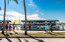 Tubing/Banana Boat with Miami Watersports