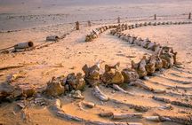 Fayoum Oasis Tour Hidden Gem Wadi El Rayan & Valley of the Whales