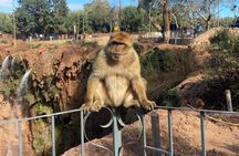 Private Luxury Ouzoud Waterfalls Day Trip -Lunch + Local Guide
