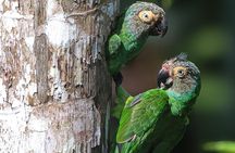 From the Andes to the Amazon of Ecuador 6 days tour all included