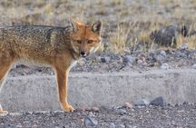 From the Andes to the Amazon of Ecuador 6 days tour all included