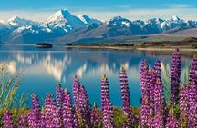 Mt. Cook Private Day Trip From Queenstown with Lake Tekapo 