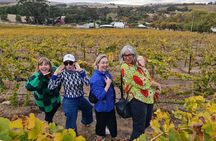 Clare Valley Wine Tour (Clare Valley pickup) includes lunch