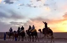 2 Days Desert Tour From Marrakech To Zagora And Camel Trek