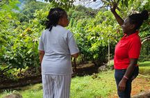 Customized Grenada discovery island tour