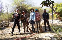 From Agra Private Transfers to Wildlife SOS Elephant Conservation