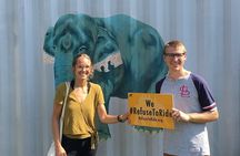 From Agra Private Transfers to Wildlife SOS Elephant Conservation