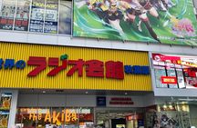 Akihabara Private Custom Tour with Pickup