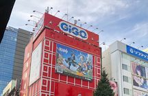 Akihabara Private Custom Tour with Pickup