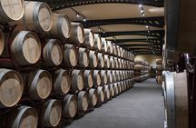 Guided tour and tasting at Duca di Salaparuta Winery 