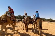 From Djerba Two Day Safari Tour to Tozeur. 