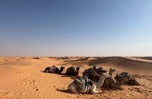 From Djerba Two Day Safari Tour to Tozeur. 