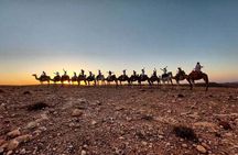 Agafay Half Day Rocky Desert Experience – Quad Bike & Camel Ride