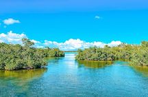 Isla Saona Speedboat Tour: Snorkeling with Turtles & Beach Escape