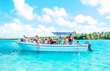 Punta Cana Speed Boat : Saona Island, Turtle Snorkeling & Lunch