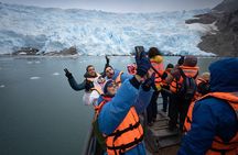 Whale and Glacier Watching from Punta Arenas Francisco Coloane Park