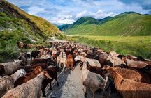 4 Days Issyk Kul & Chon Kemin: Horse Riding and Nomadic Yurt Stay