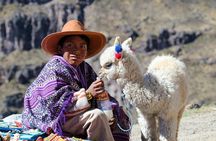 Full Day Colca Canyon Tour