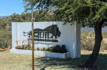 Full-Day Big 5 Safari at Aquila Game Reserve with Lunch