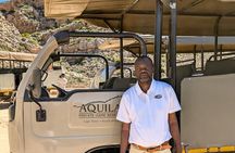 Full-Day Big 5 Safari at Aquila Game Reserve with Lunch