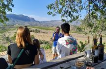 Priorat tour to 3 small wineries and hotel pick-up