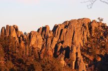  Custer's Wildlife & Night Skies: A Private Tour