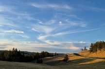  Custer's Wildlife & Night Skies: A Private Tour