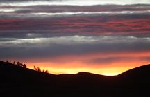  Custer's Wildlife & Night Skies: A Private Tour