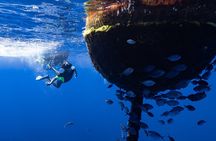 Offshore Safari Adventure in Kona with Underwater Videos