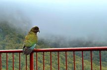 Queenstown to Te Anau via Milford Sound inc Cruise & Lunch