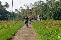 35km E bike Bike Day Tour in Galle