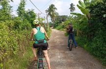 35km E bike Bike Day Tour in Galle