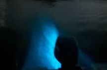 Mystic Waters A Bioluminescent Night Tour