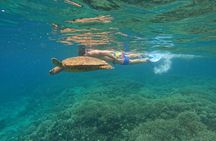 Private Snorkeling Gili Island (Coral, Statue and Turtle) 