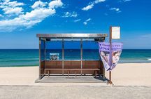 Seoul to Hyangho Beach Mt Seorak Abai Village Tour