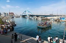 Seoul to Hyangho Beach Mt Seorak Abai Village Tour