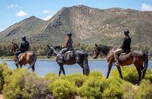 Cape Town Big 5 Safari on Horseback Riding at Aquila Game Reserve